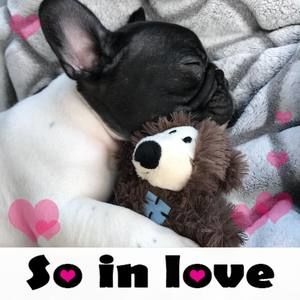 Meet your Posher, Keri